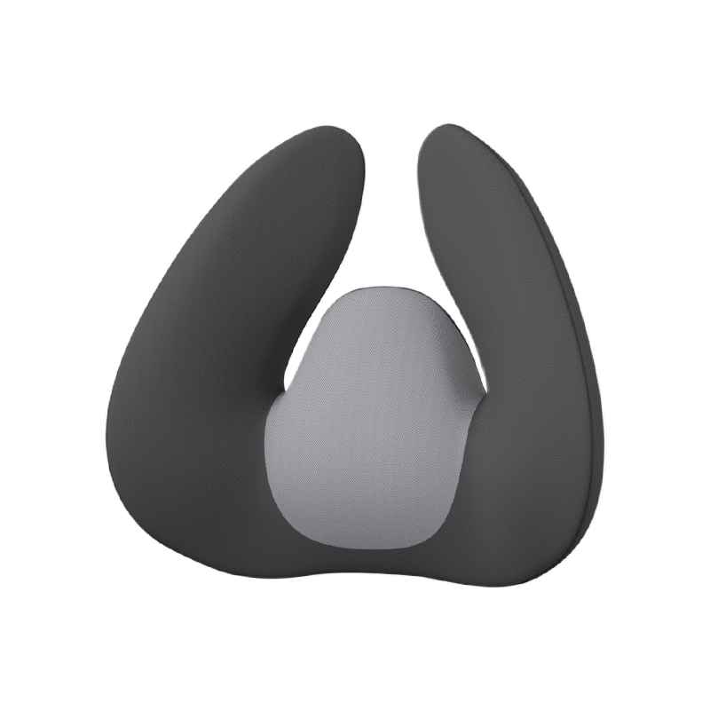 মেমরি ফোম ডাব্লু-অটোমোটিভ ব্যাক কুশন